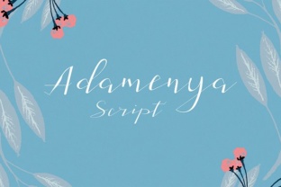 Adamenya: A Modern Typeface for Distinct Branding