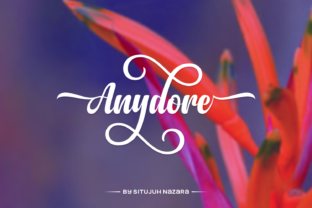 Anydore: Essential Creative Assets for Designers