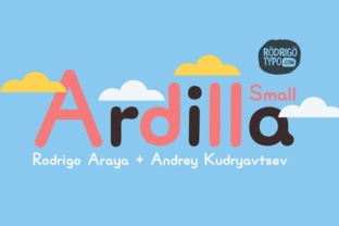 Ardilla Small: A Compact Tool for Real‑World Productivity