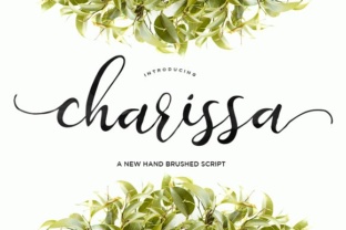 Charissa: A Practical Guide for Creators and Professionals