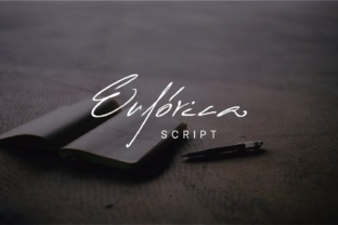 Euforica: Redefining the Creative Workflow for Modern Professionals