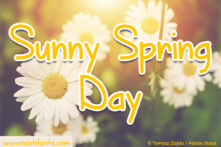 How a Sunny Spring Day Transforms Your Approach to Work, Wellness, and Everyday Life