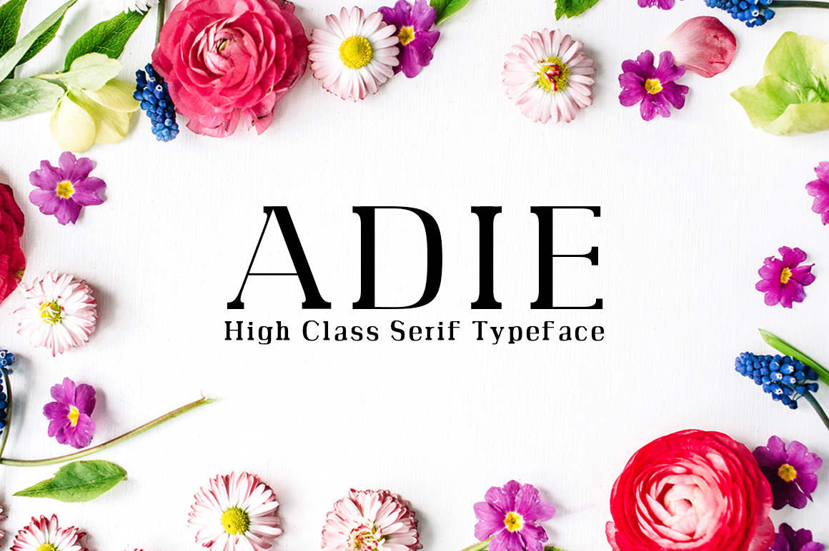 How Adie Helps You Make More Informed Decisions