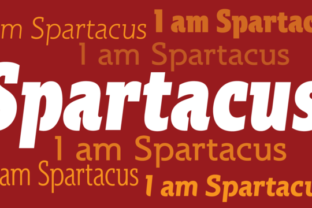 Inside Spartacus Family: A Versatile Toolkit for Modern Creators