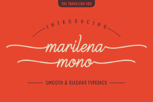 Marilena Mono: A Practical Look at a Distinctive Monospace Typeface