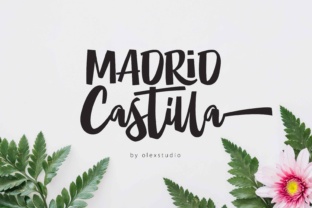 Real Madrid Castilla: Understanding the Reserve Team Beyond the Hype