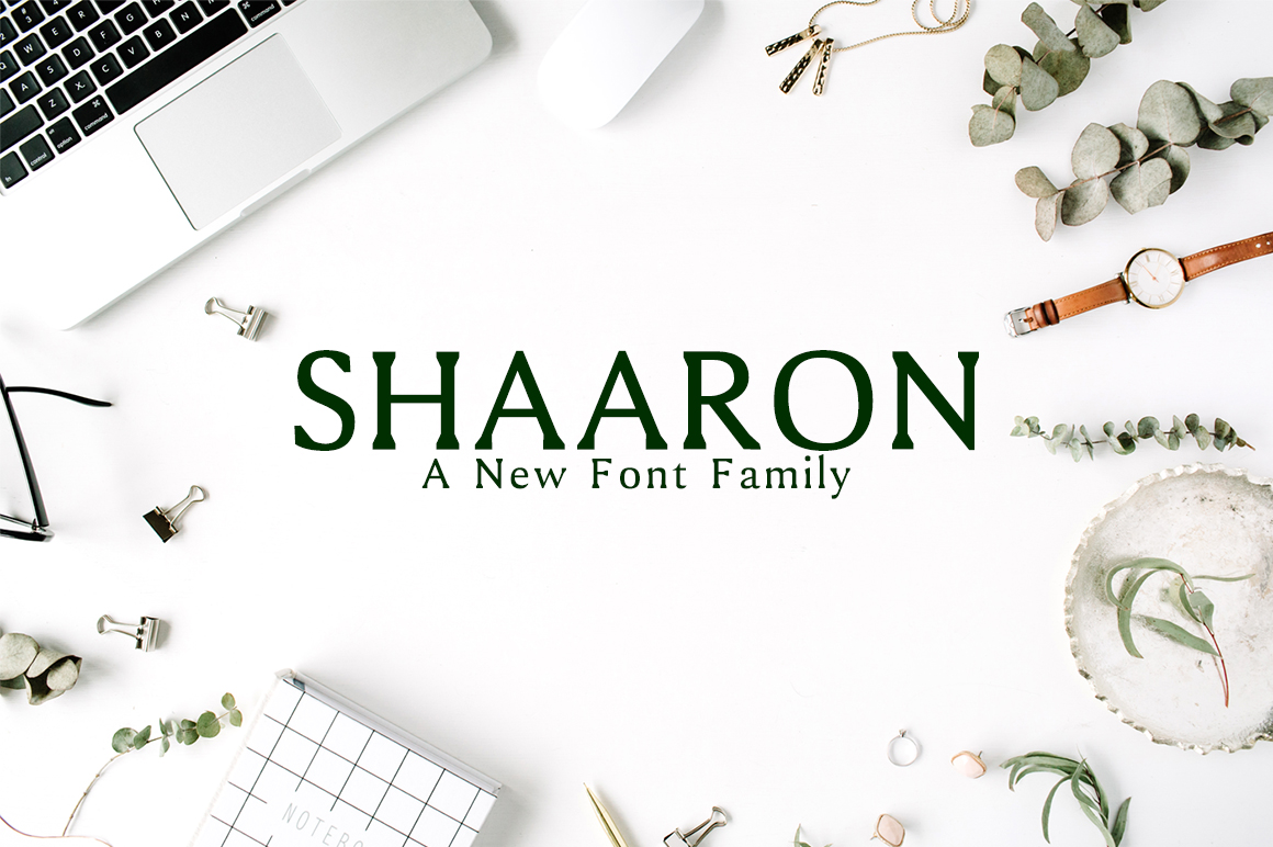 Shaaron: A Practical Tool for Streamlining Creative Workflows