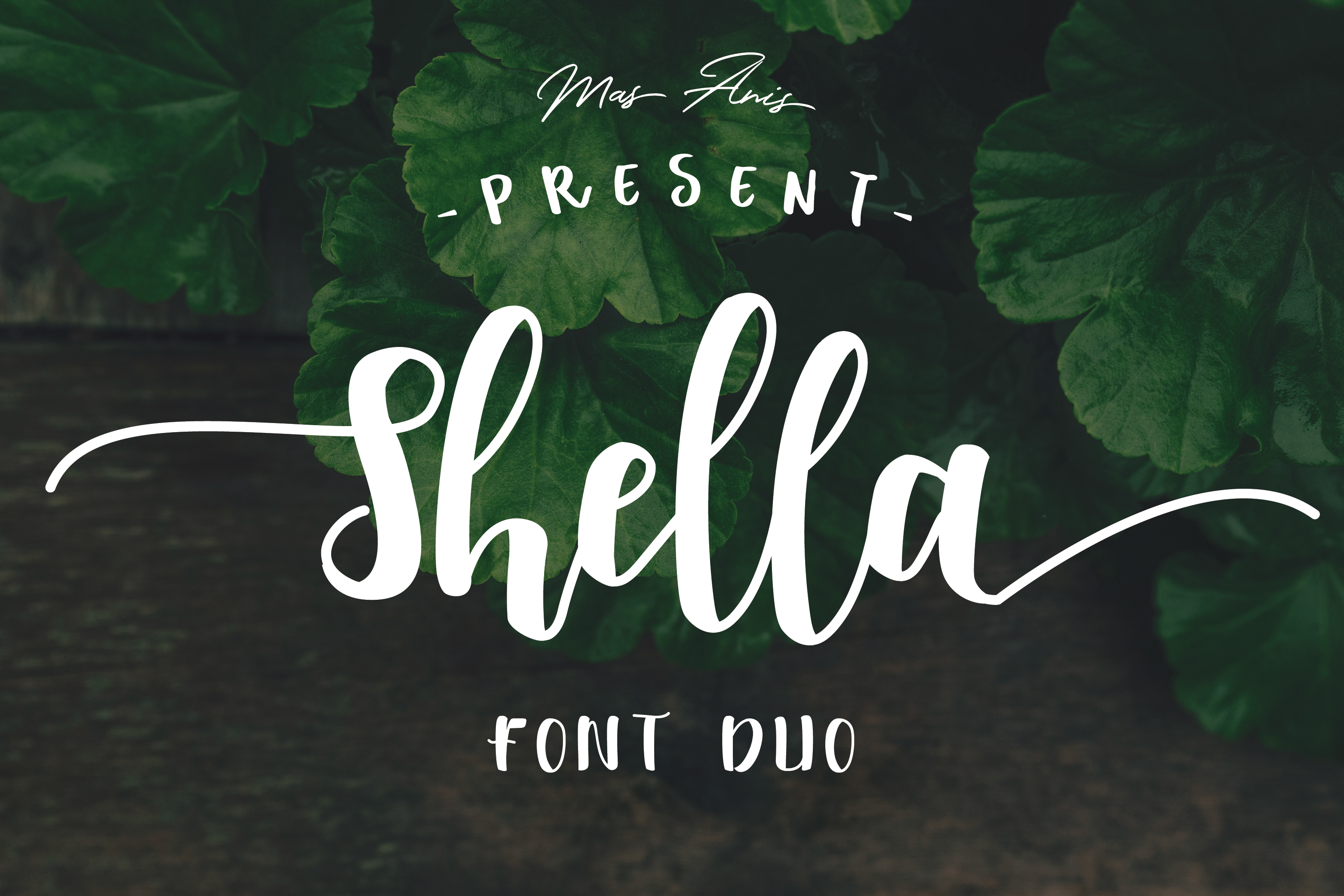 Shella: A Practical Guide to Streamlining Your Workflows and Projects