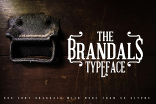 The Brandals and Their Musical Identity