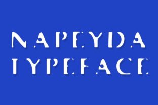 Understanding NaPeyda: A Modern Framework for Adaptive Growth and Purposeful Action