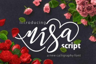 Understanding Nisa: A Practical Guide to Evaluating Its Fit for Your Needs
