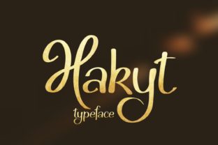 What Is Hakyt? A Practical Guide for Everyday Users